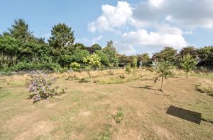 Photo 19- click for photo gallery